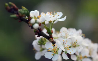28-6-2024 | Odpočinkový víkend pro sebe s psychosomatikou a emocemi